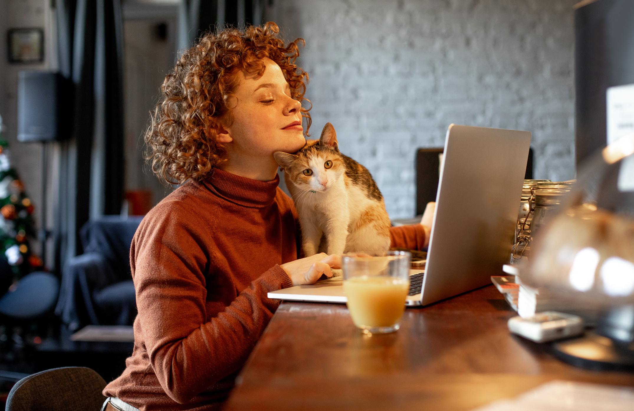 A woman sits at her laptop working, her ginger-and-white cat sits under her chin