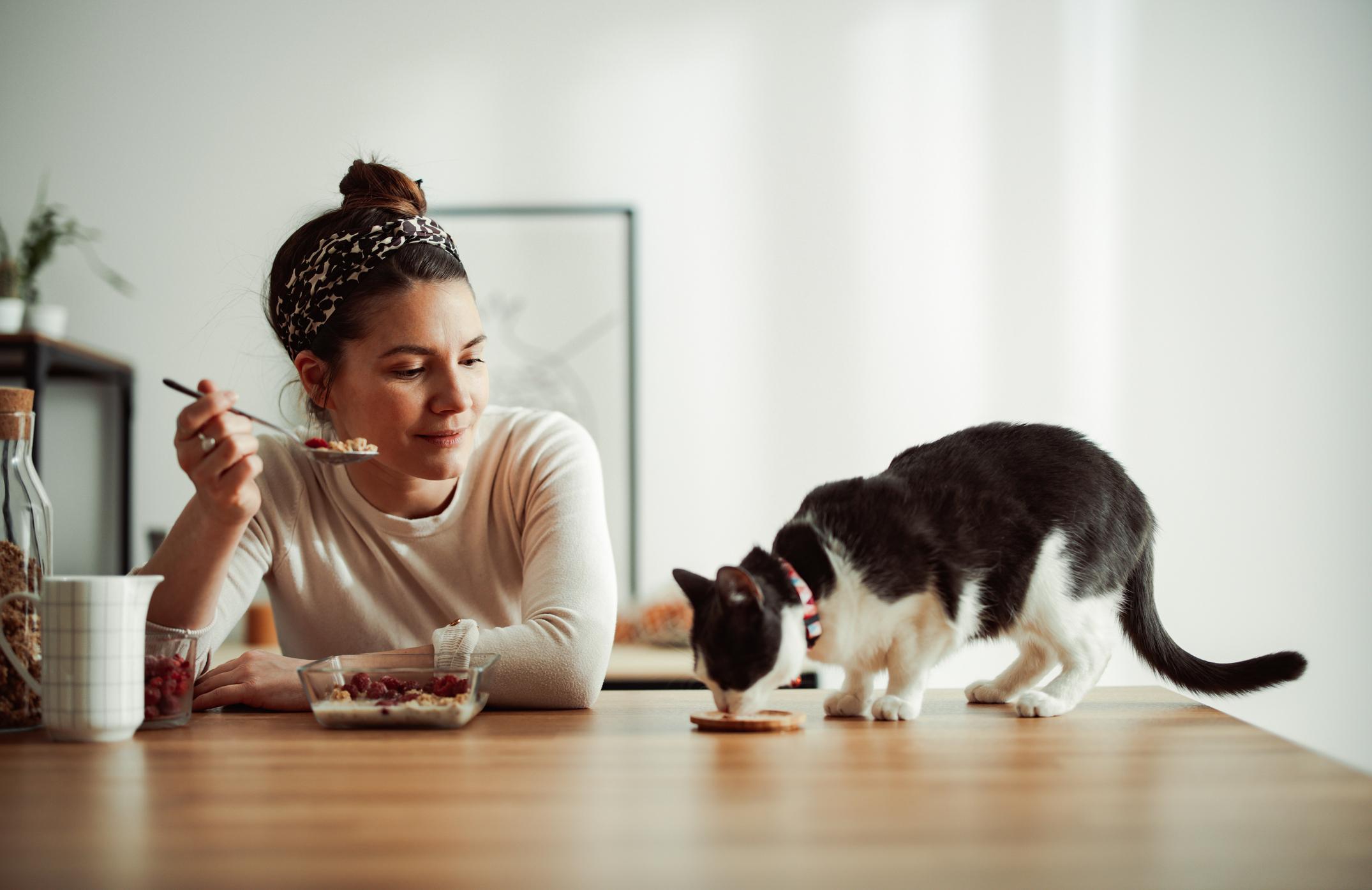 A cat eats some food from a small plate while their pet parent, a woman, look at them as she&#39;s eating some cereal