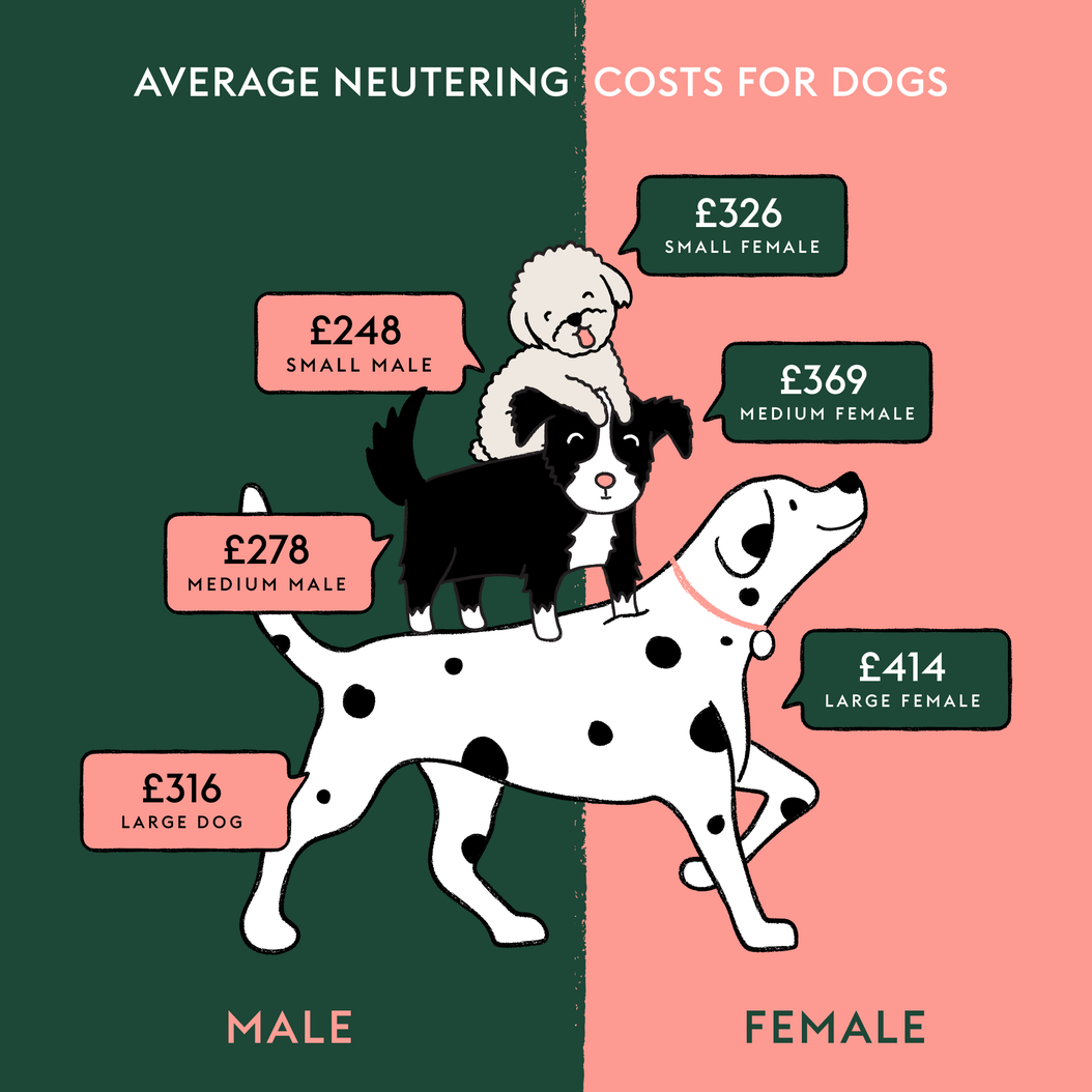 Average neutering costs for dogs 2023