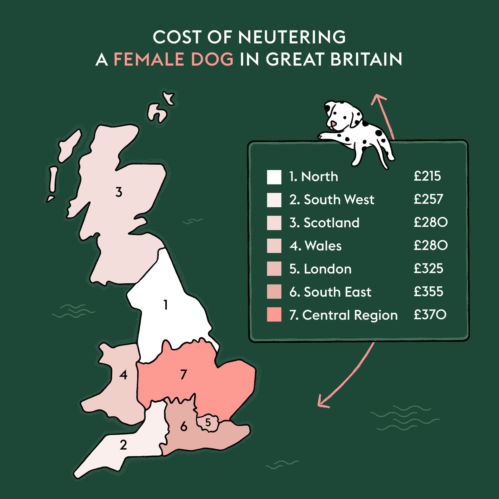How much does it cost to neuter a dog? ManyPets