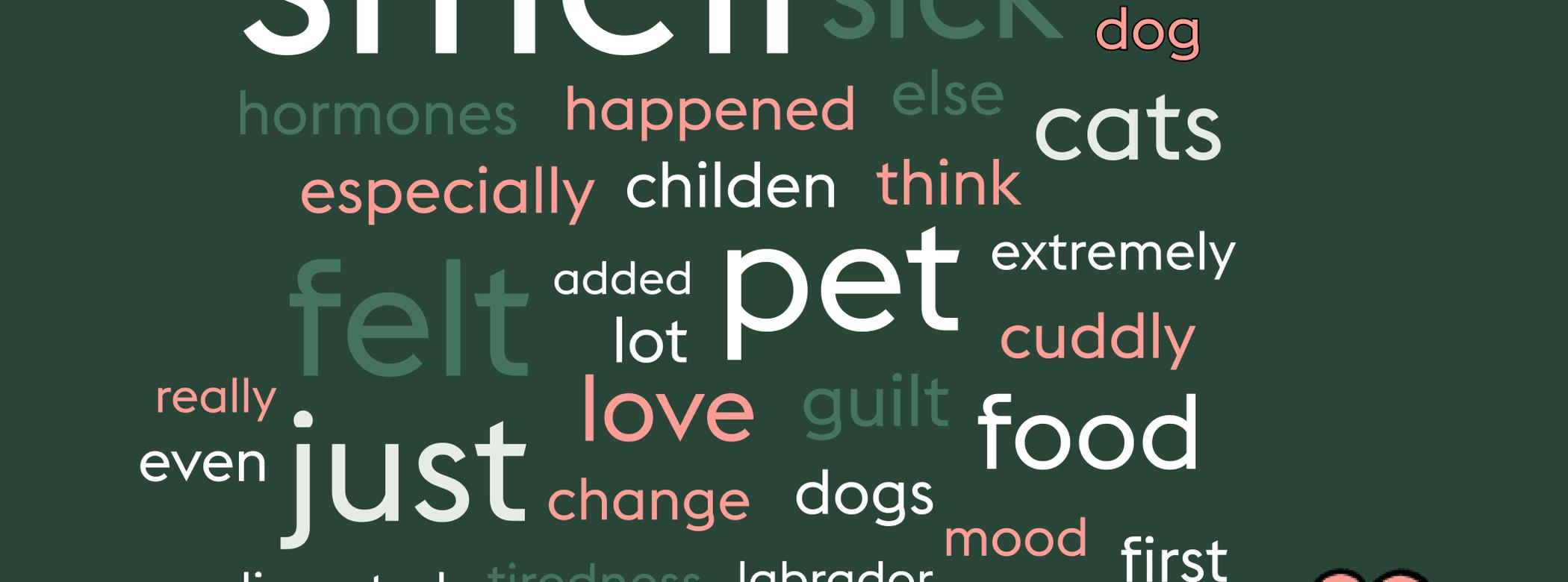 Word cloud of how women feel about their pets during pregnancy