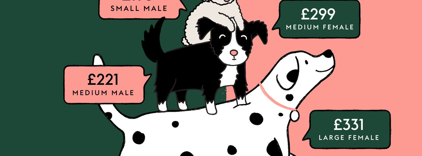 How much does it cost to neuter a dog? ManyPets