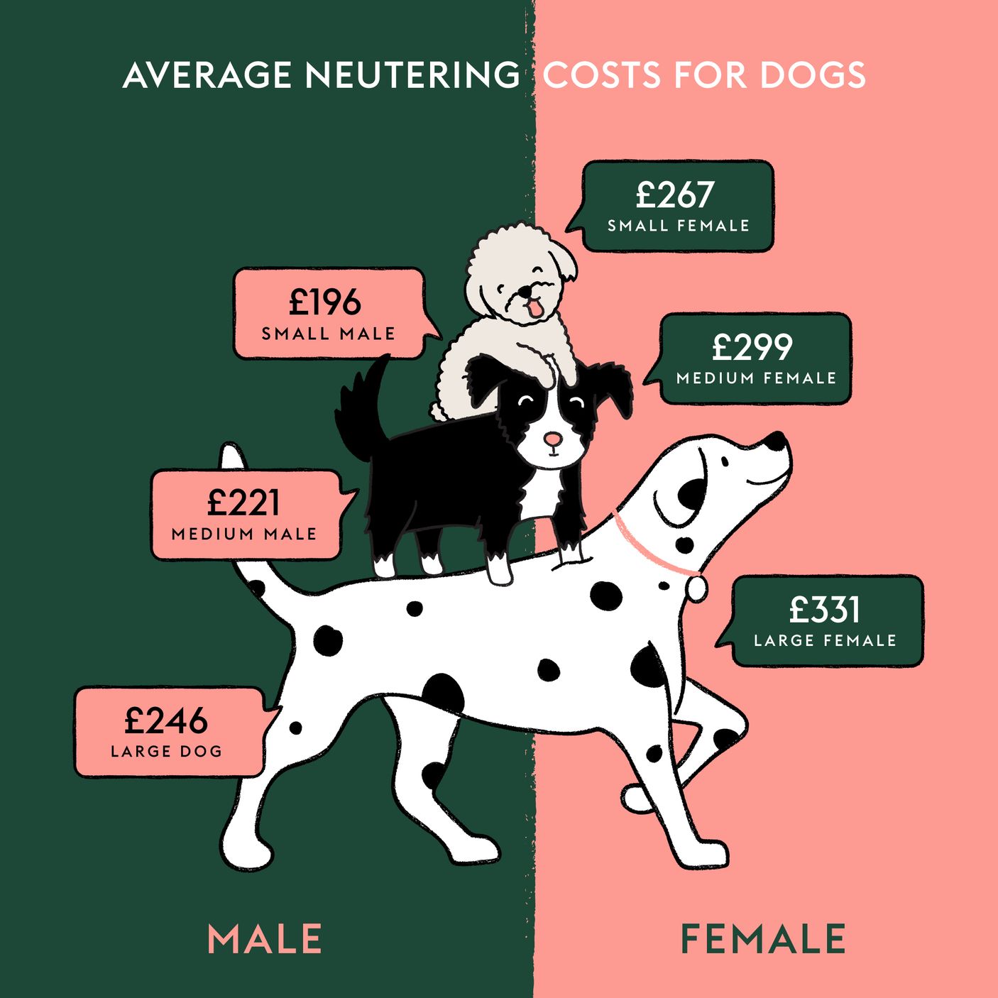 what is the cost to spay a female dog