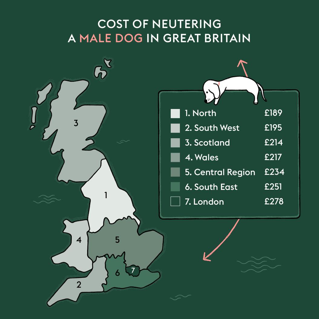How much does it cost to neuter a dog? ManyPets