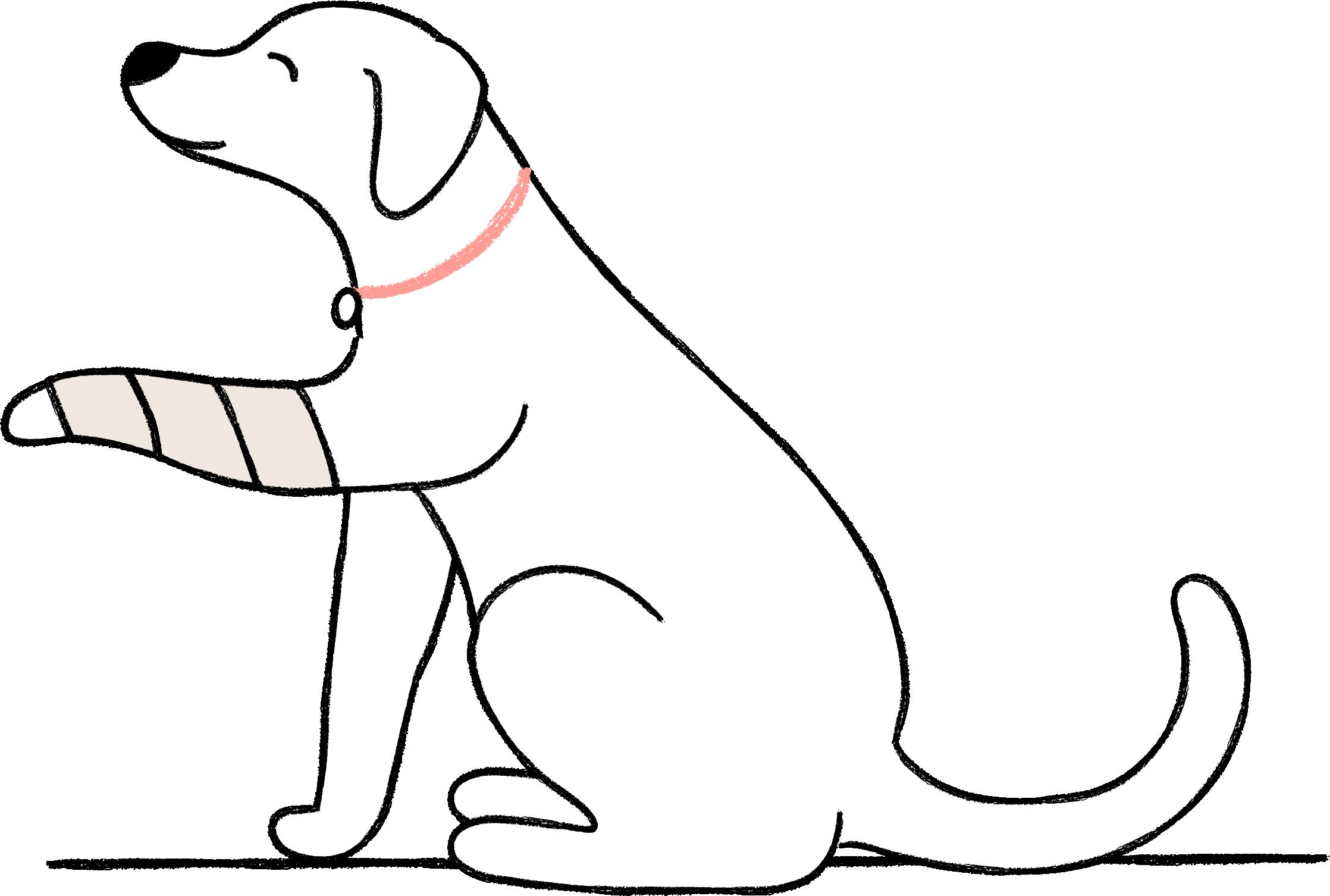 illustration of a dog lifting it's front paw which is wrapped in a bandage