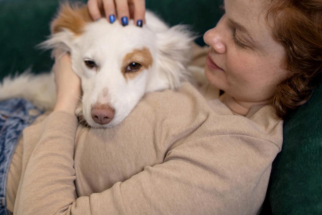 7 qualities of the best ESA dog breeds (& how to choose) ManyPets