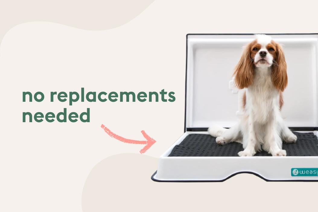 Toprated ecofriendly dog products ManyPets