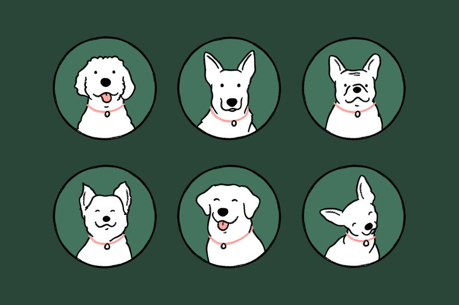 six white illustrations of dogs in circles on a green background