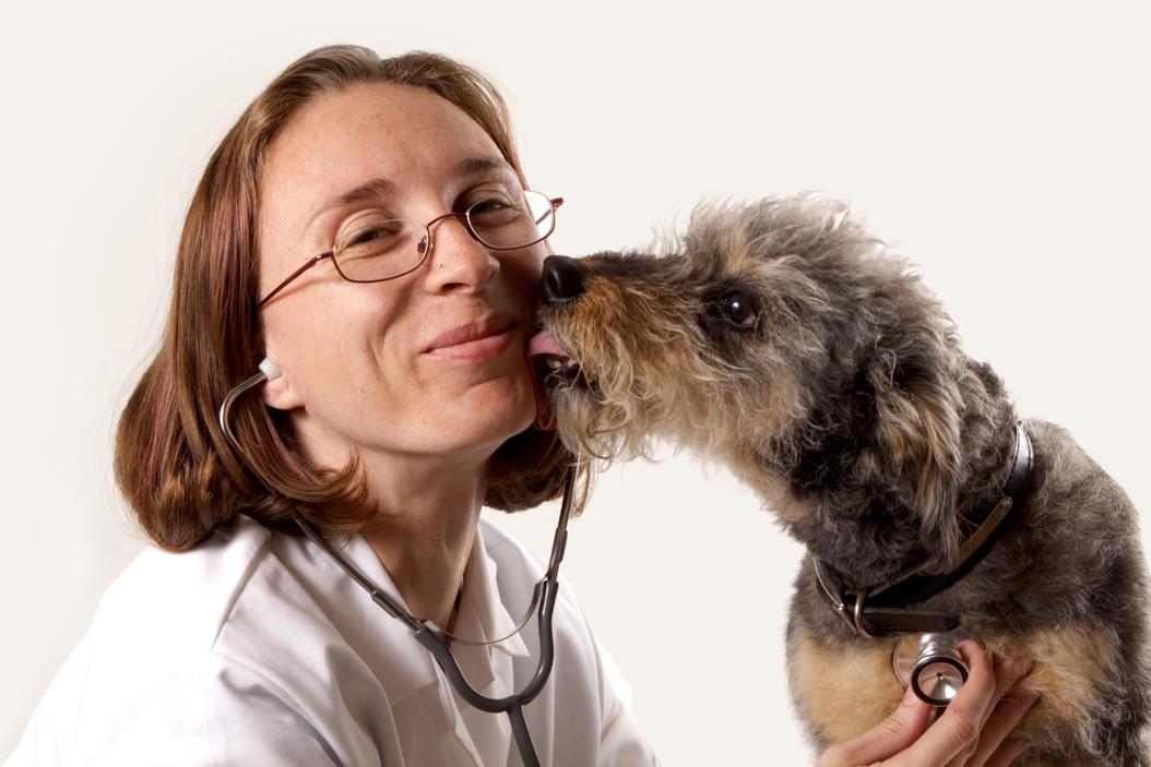 Preventive care & pet insurance for pets what you should know ManyPets