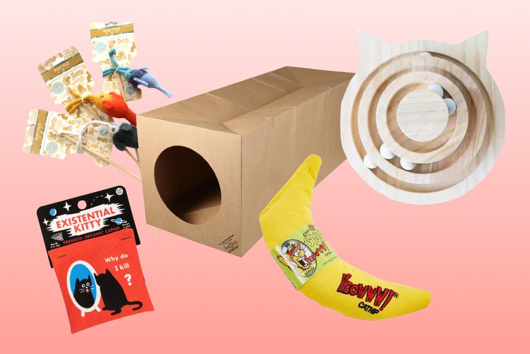 How to pick safe(r) kitten toys | ManyPets