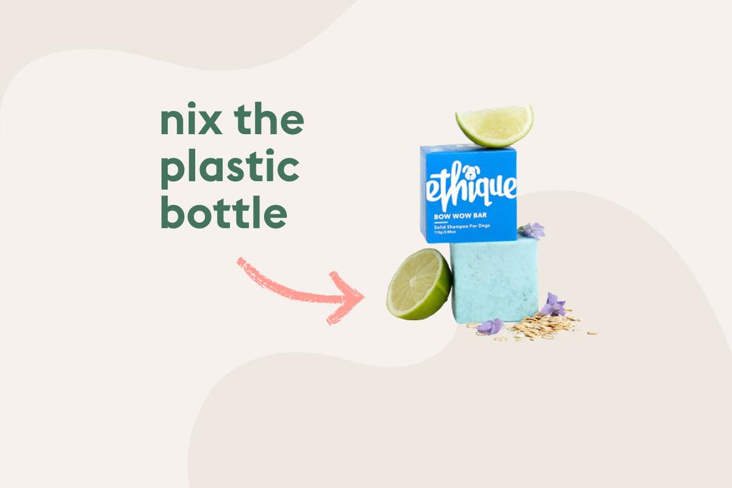 Toprated ecofriendly dog products ManyPets