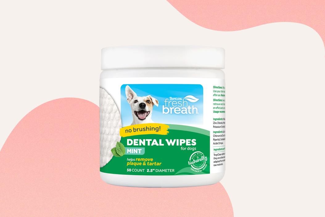The best dog and cat dental products ManyPets