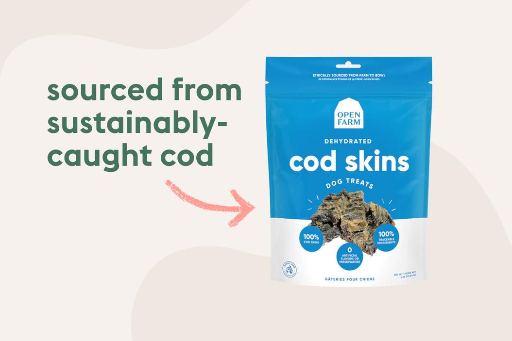 Toprated ecofriendly dog products ManyPets