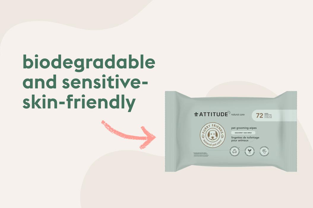 Toprated ecofriendly dog products ManyPets