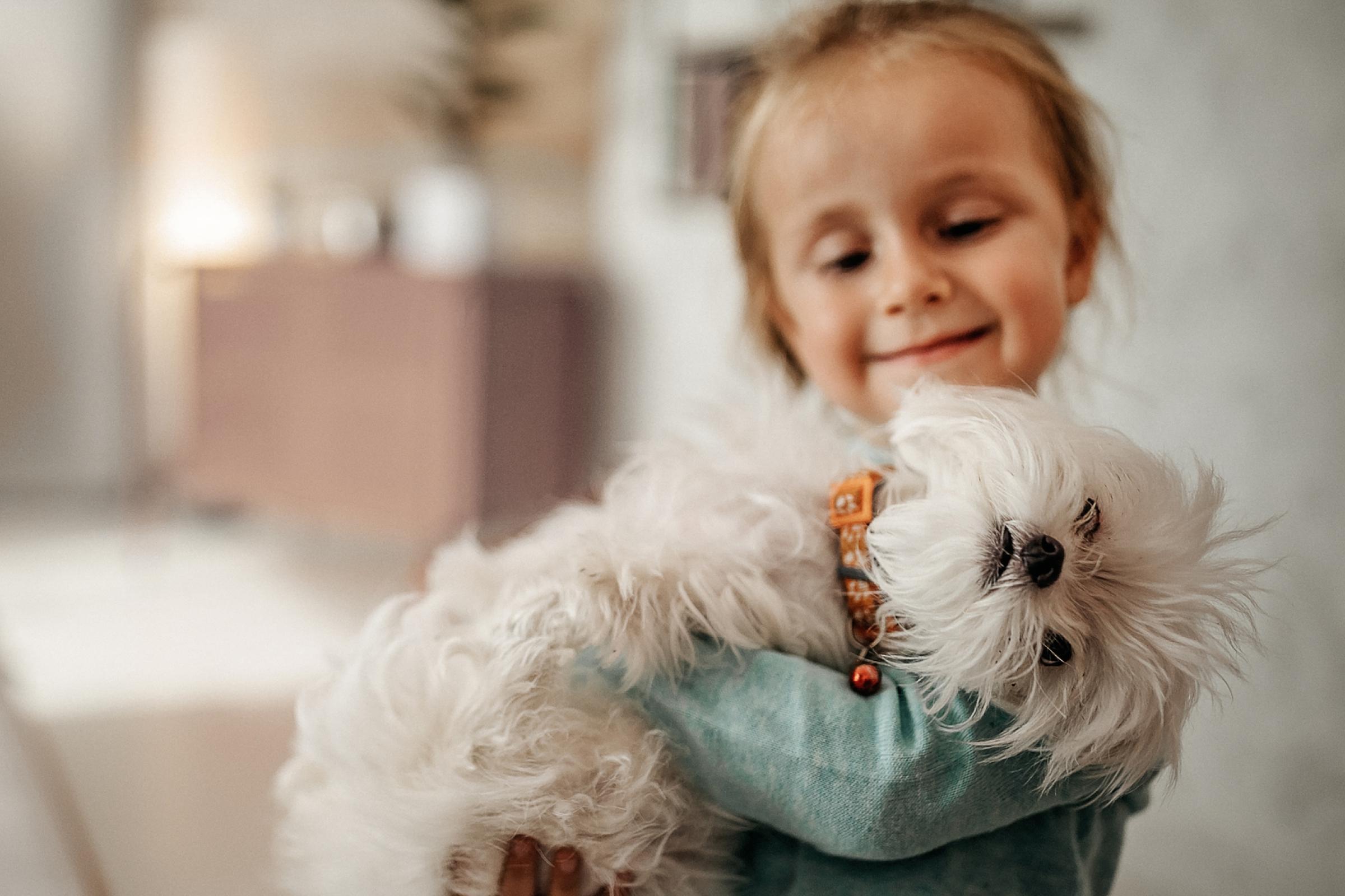 A photograph of a young girl holding a fluffy white dog