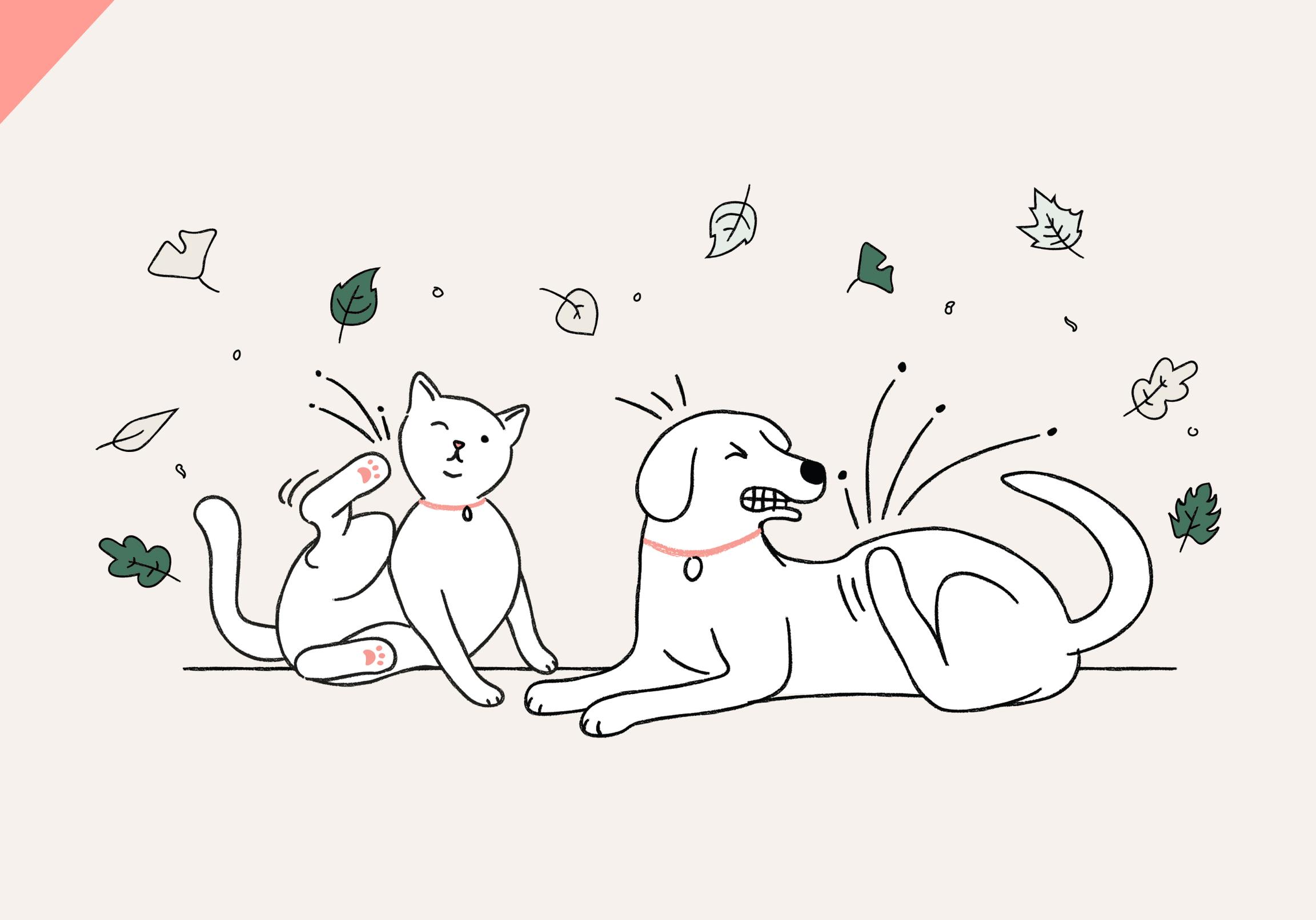 Cartoon image of a cat and a dog scratching due to allergies