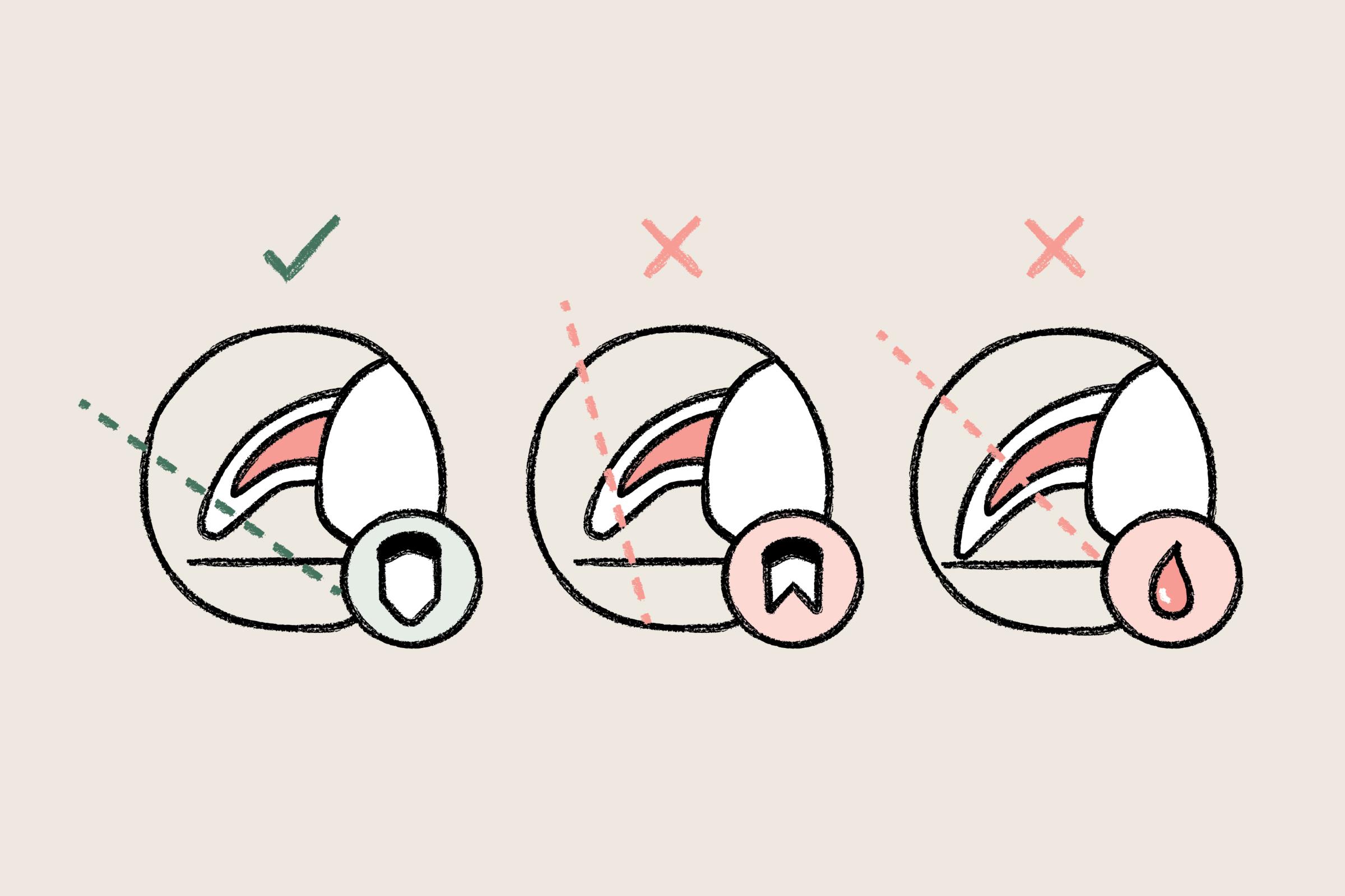 How to cut dog nails