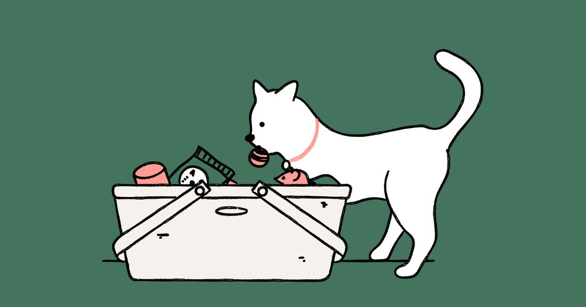 13 things to buy now from Blackowned pet brands ManyPets