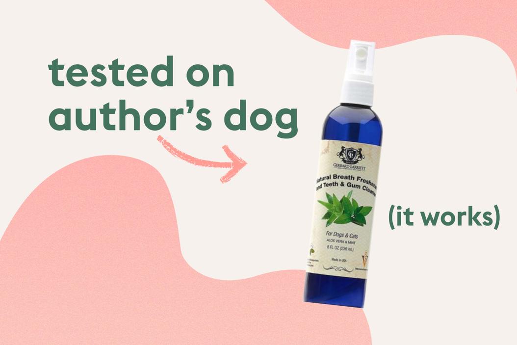 13 things to buy now from Blackowned pet brands ManyPets