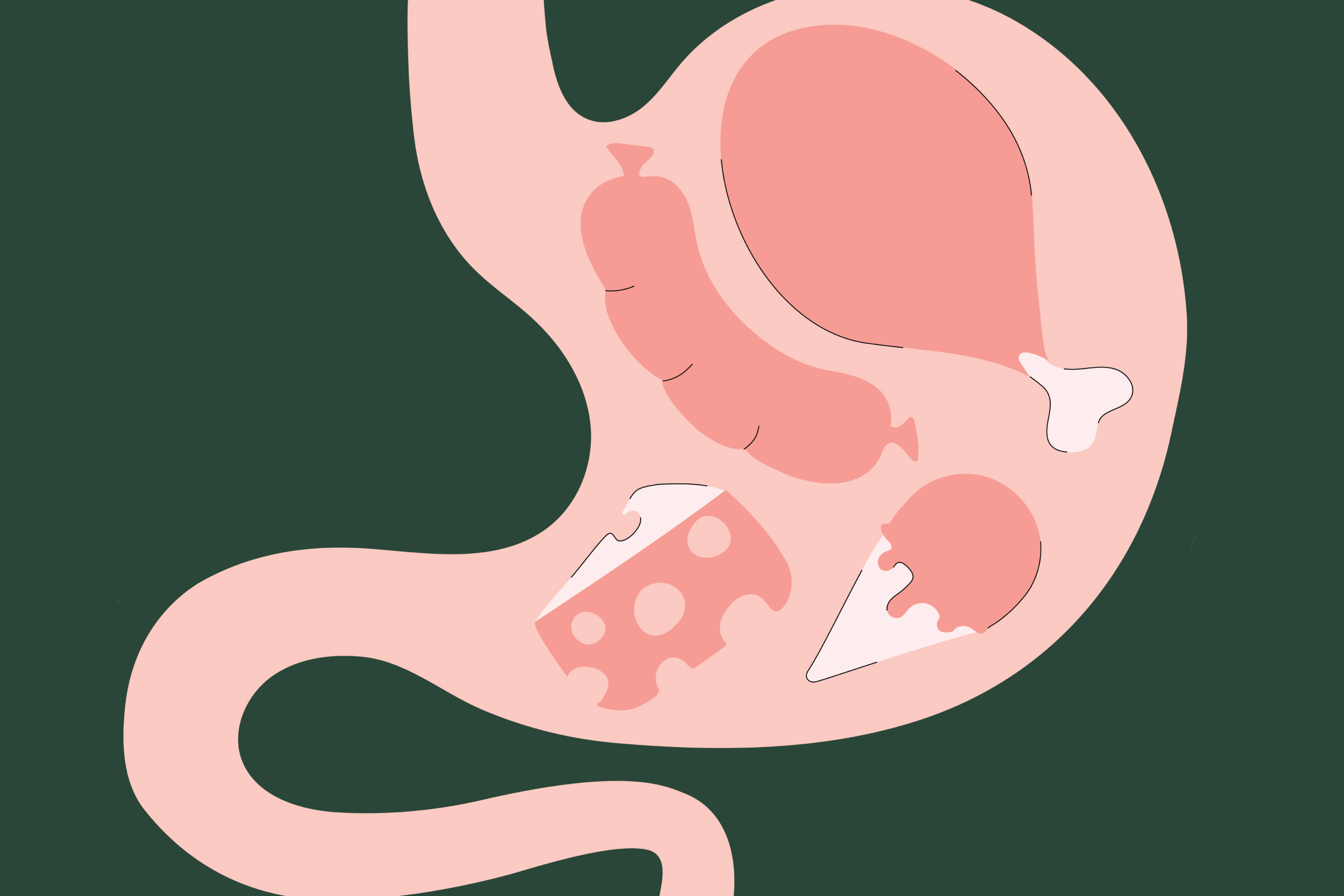 Is obesity in pets dangerous? Here's what science says | ManyPets, image size:2400x1600