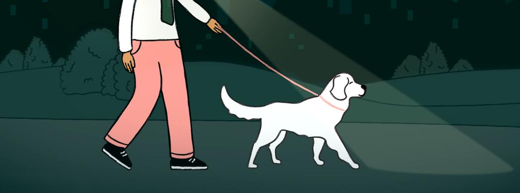 Get your dog walking shop