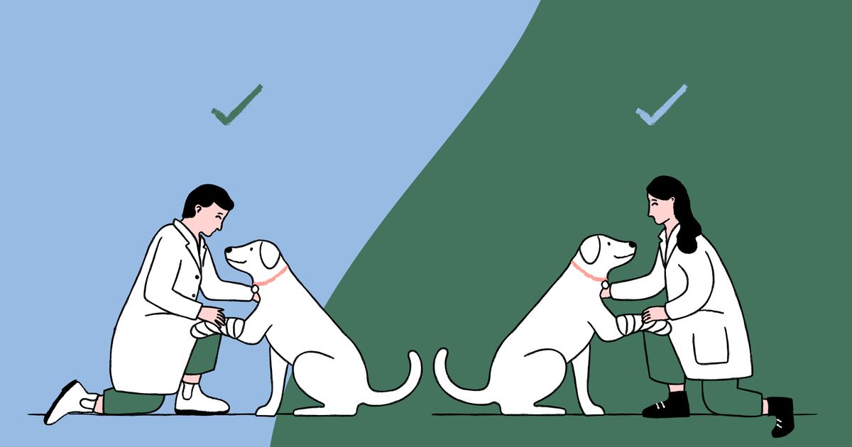 Do all vets take pet insurance? ManyPets