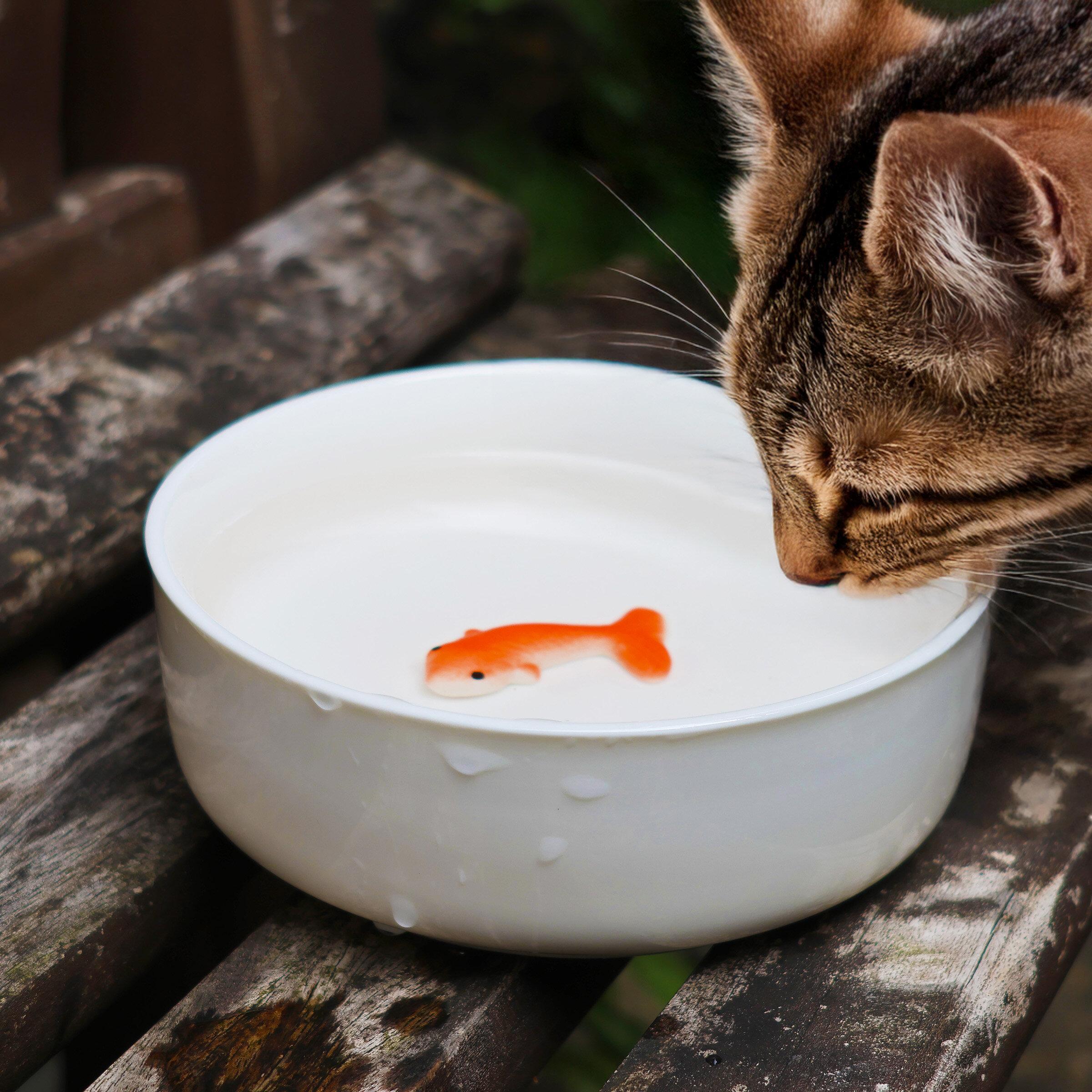 A cat drinks from a goldfish water bowl toy