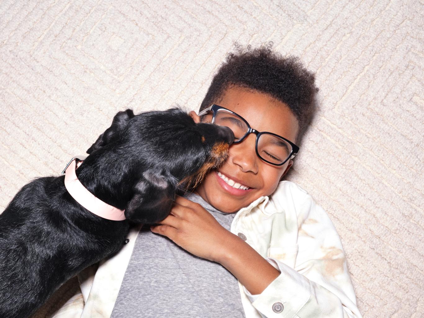 Pet insurance for preexisting conditions ManyPets