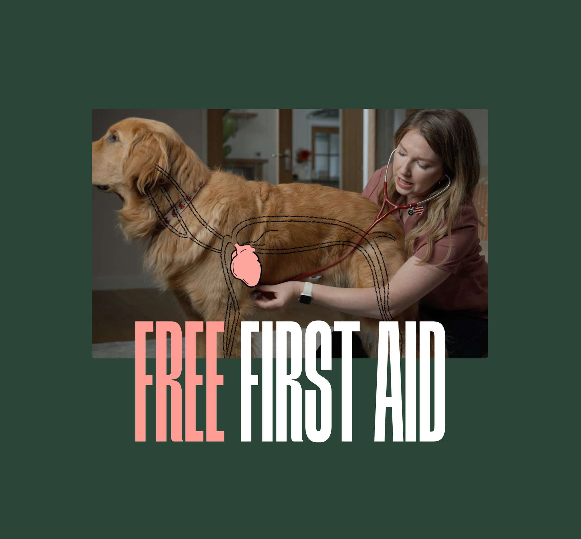 Hero - Free first aid