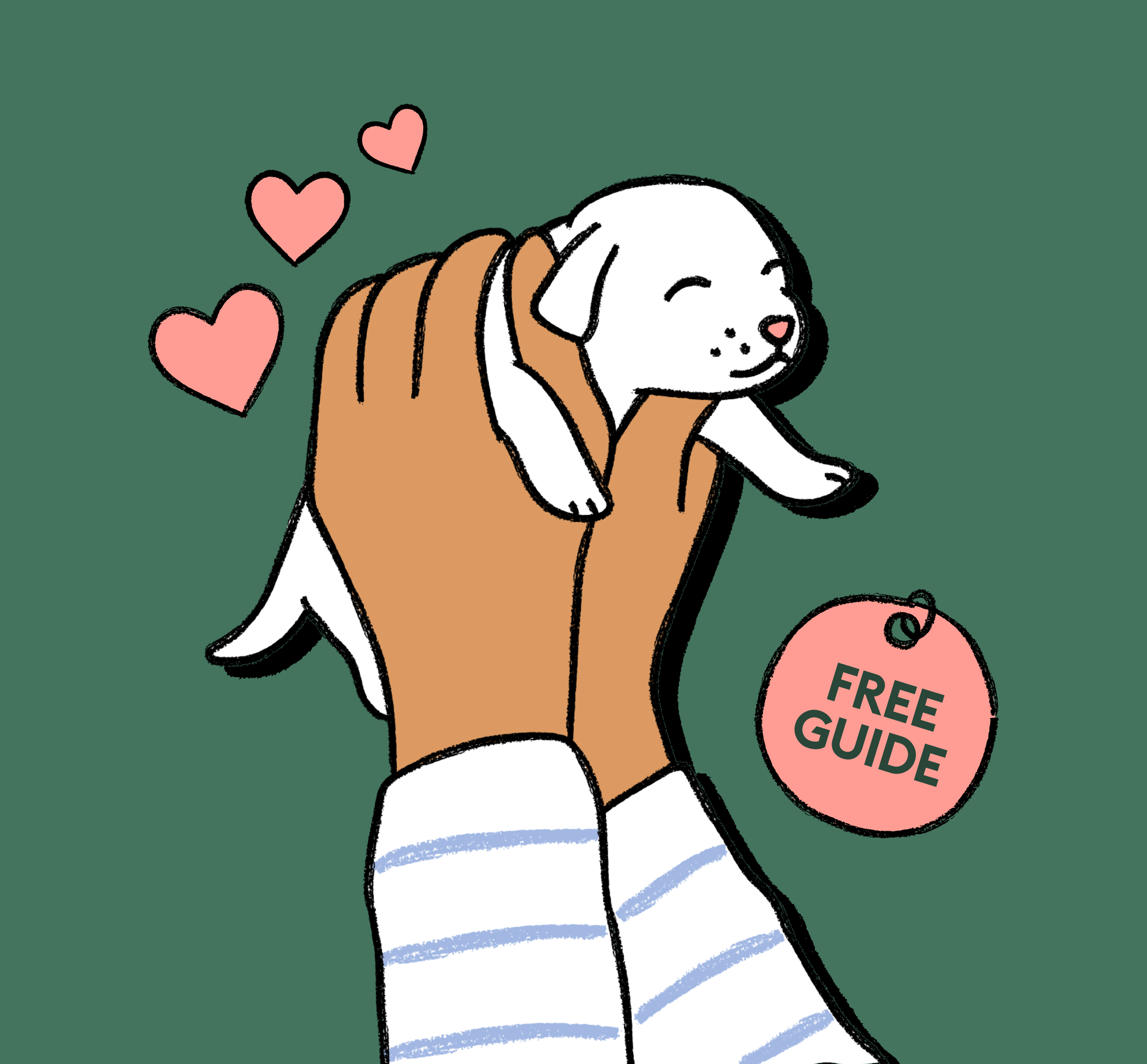 new puppy guide illustration