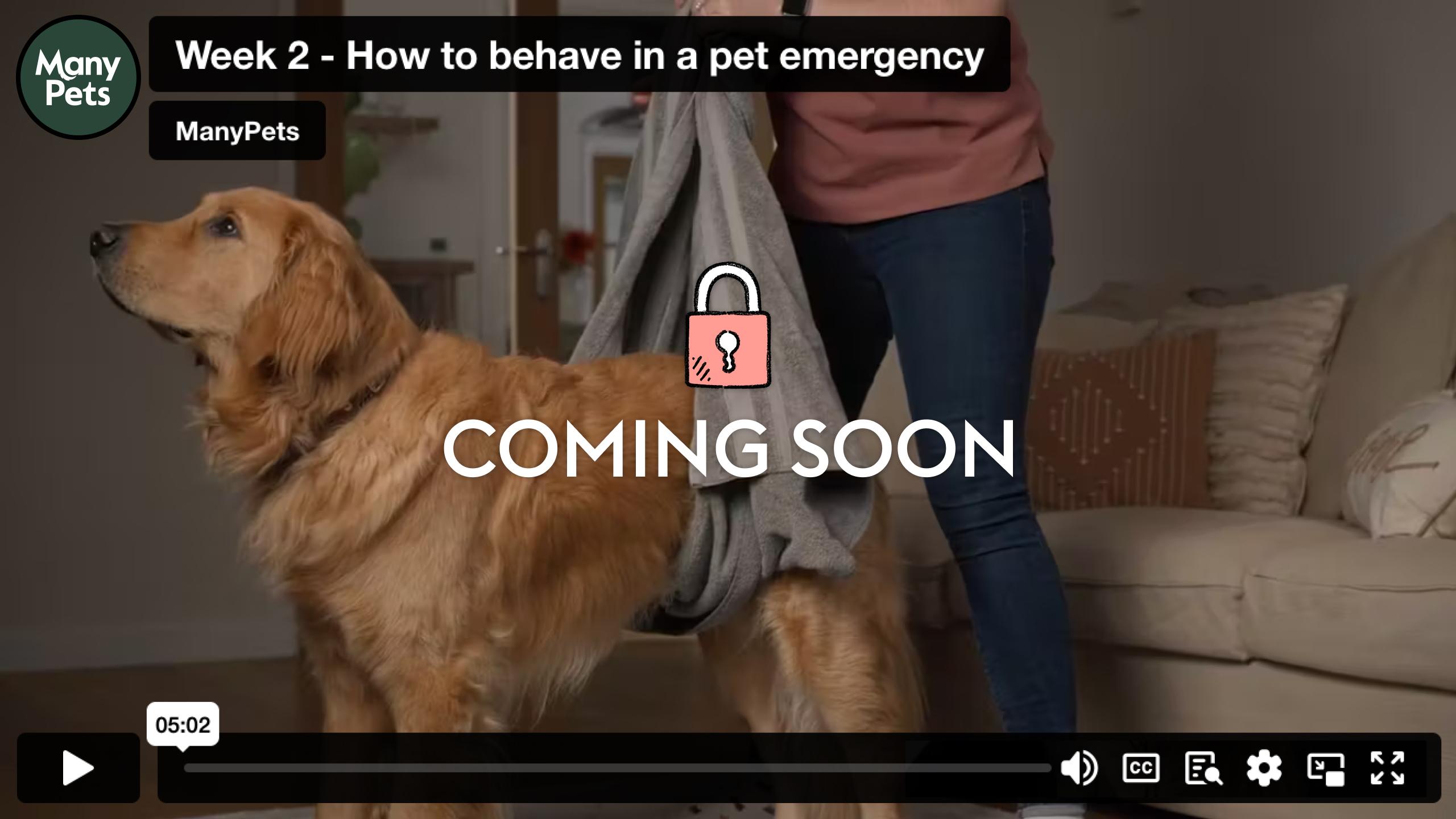 Week 2 - How to behave in a pet emergency