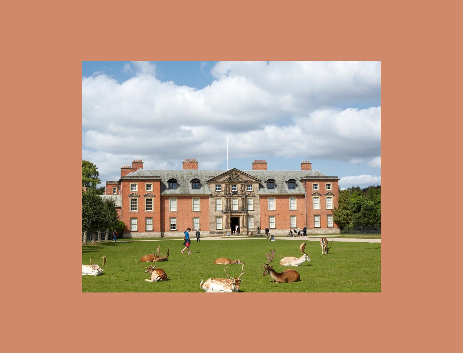 An elegant red brick Georgian manor, Dunham Massey, stands prominently with deer resting peacefully on its vast front lawn under a partly cloudy sky.