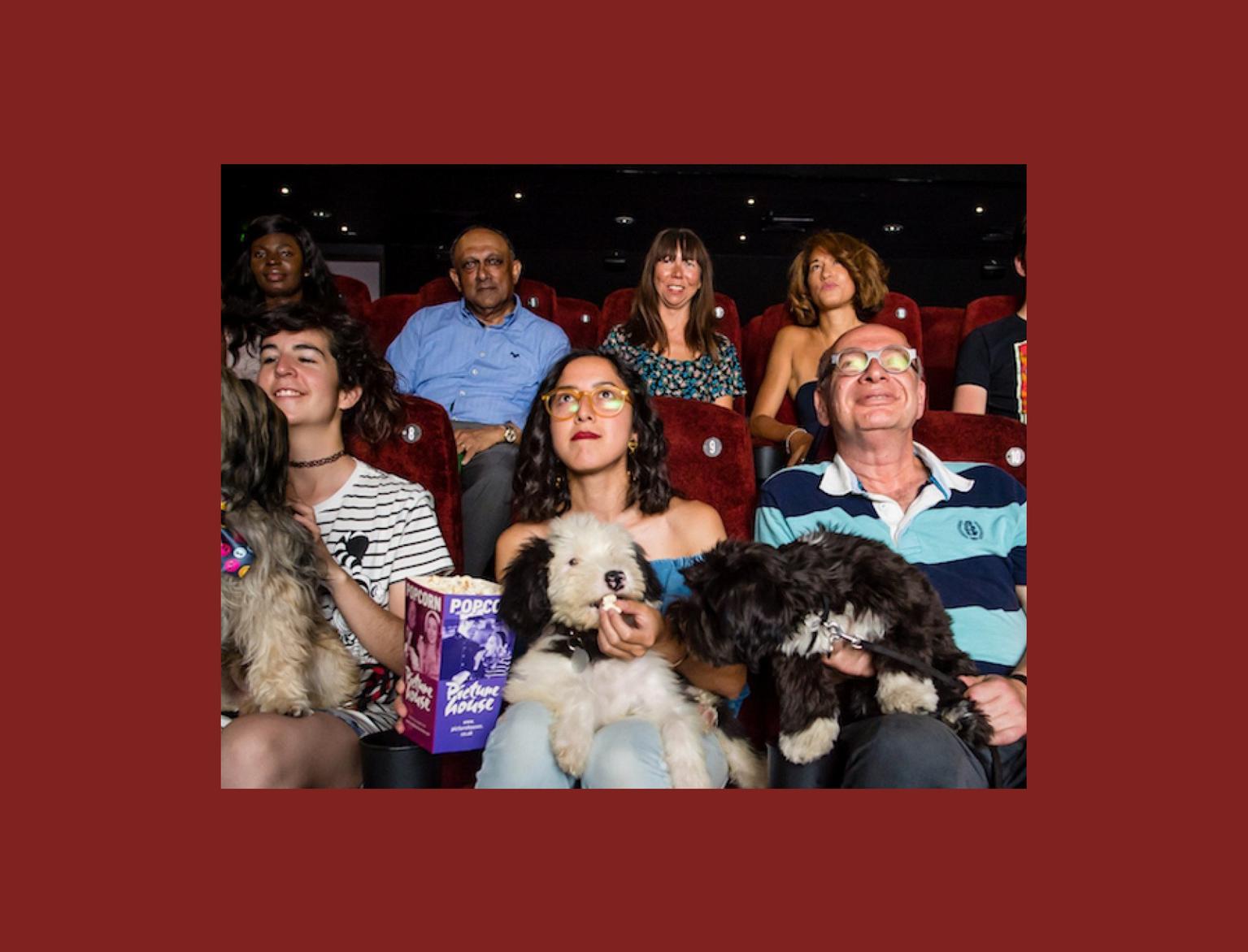 Happy moviegoers with their dogs enjoying a film in a pet-friendly cinema, complete with popcorn and smiles all around in a cozy theatre setting