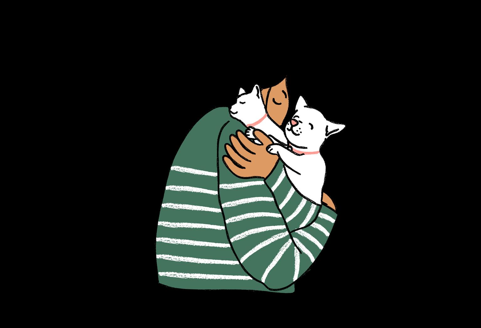 kitten love