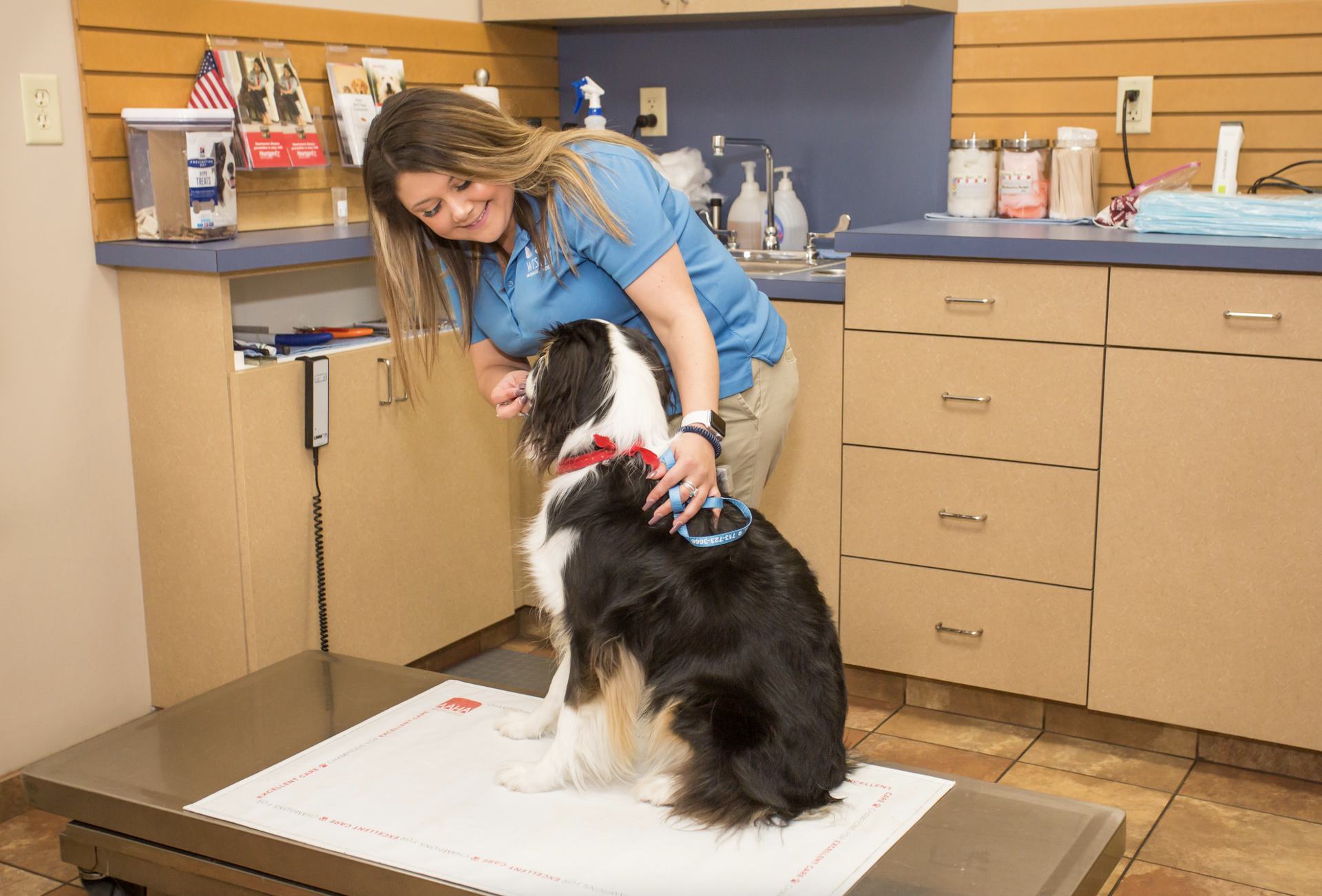 Dog on table at veterinarian's office