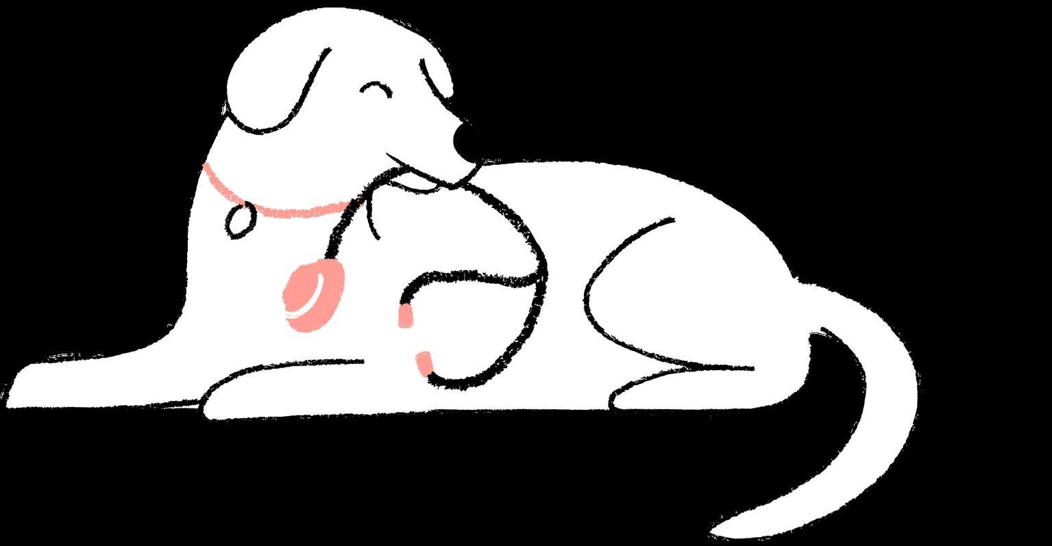 dog carrying a stethoscope in its mouth
