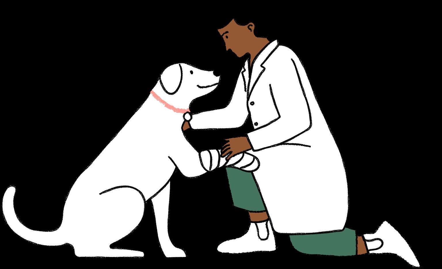 Illustration of a veterinarian kneeling and examining a happy white dog, wearing a pink collar, in a caring interaction.