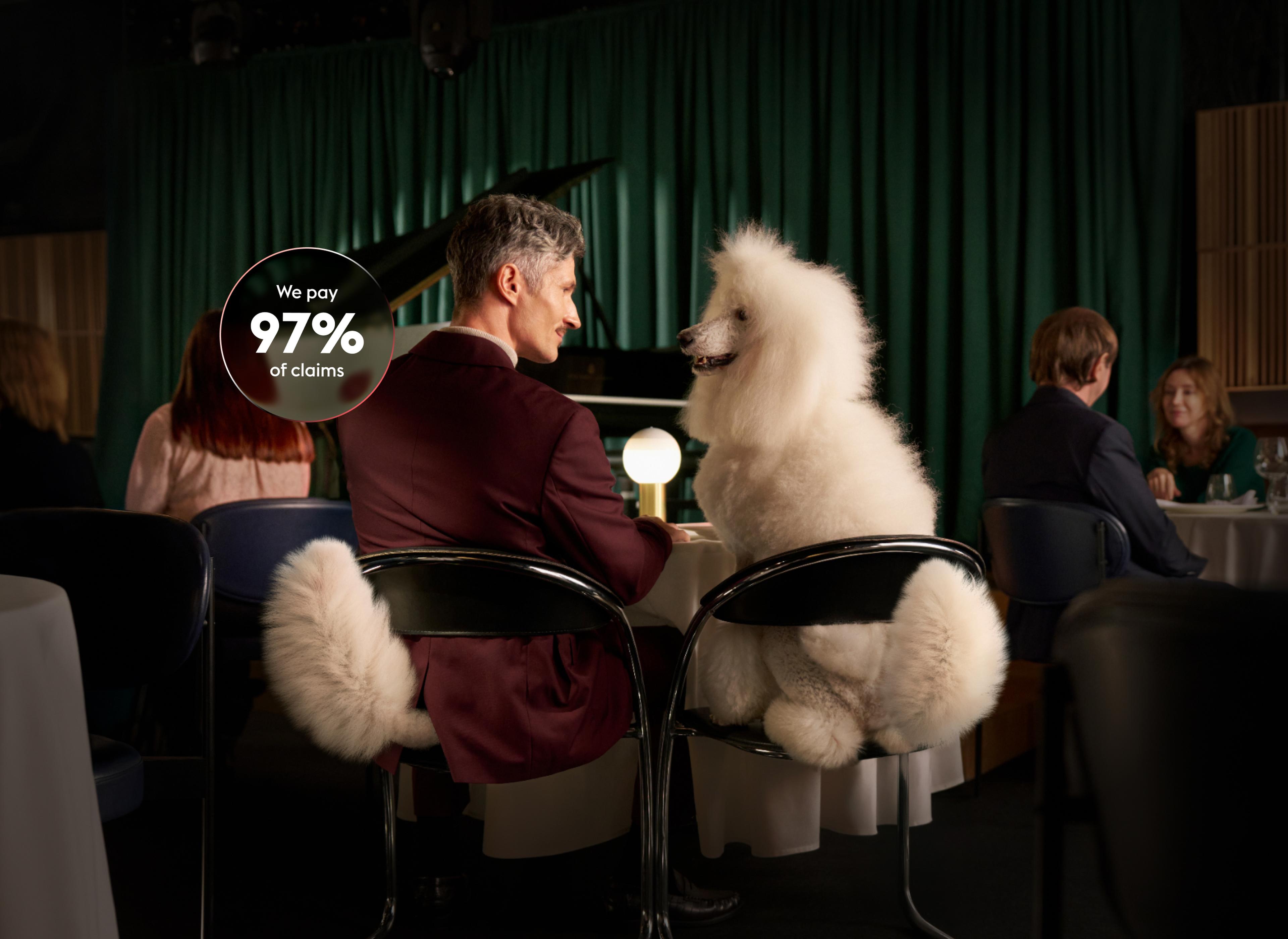 A man and a large white poodle sit on chairs at a dining table in a dimly lit room. A circle shows "We pay 97% of claims."