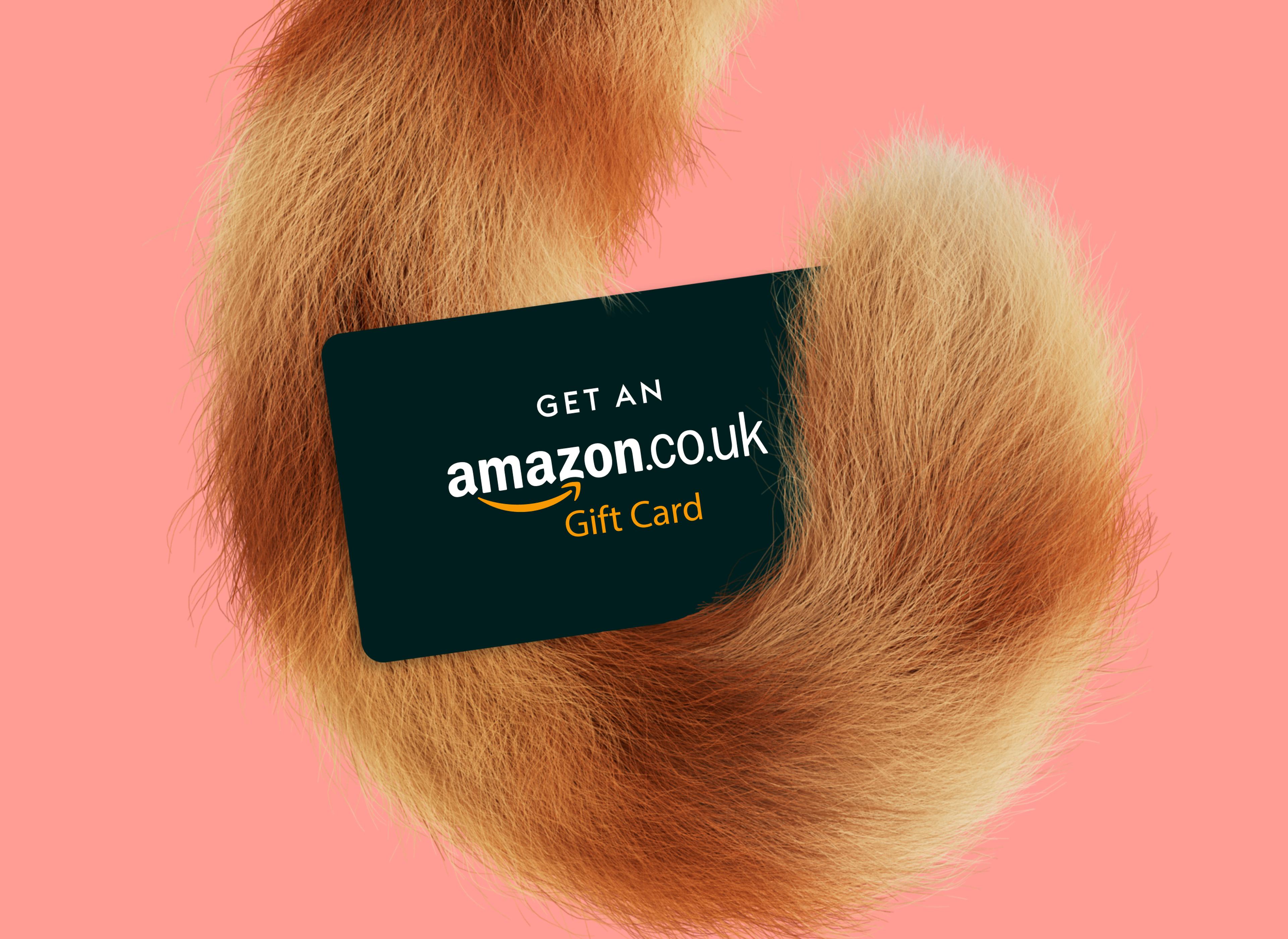 Amazon.co.uk Gift Card partially concealed by a fluffy, curved, orange and white feline tail on a pink background.