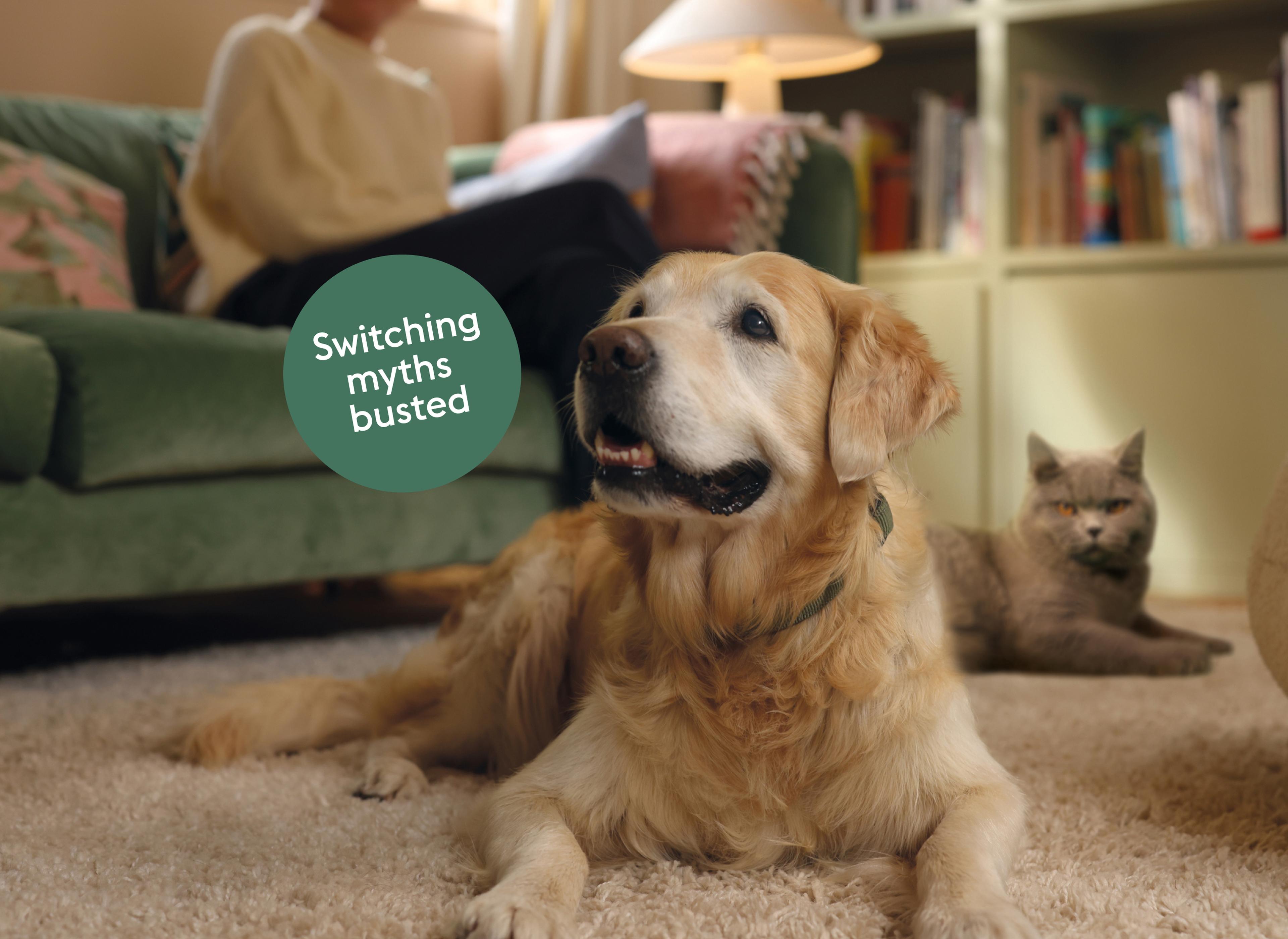 1396x1018 Desktop - Switching