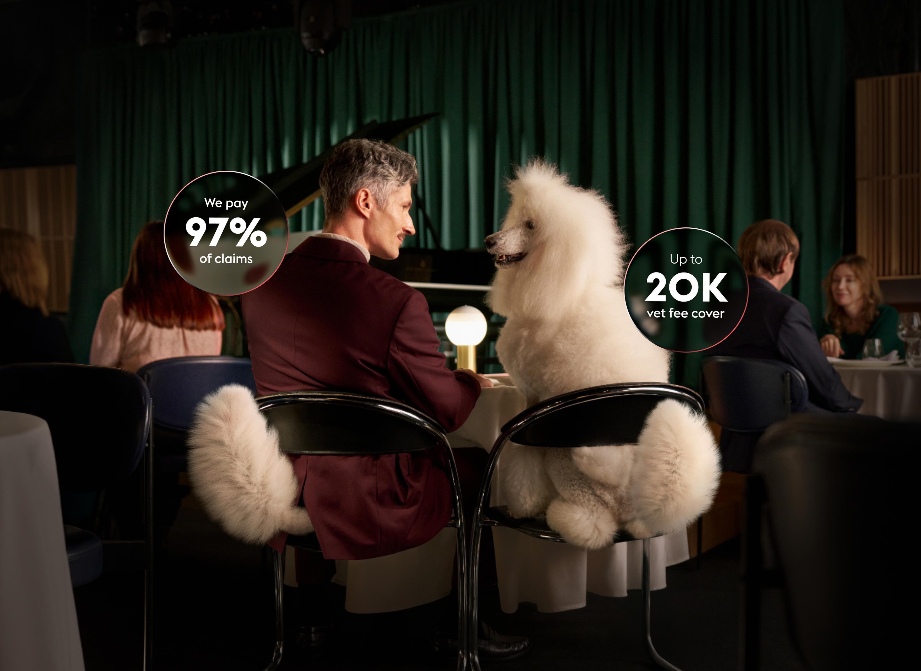 A man and a large white poodle seated at a table in a restaurant, with text highlighting pet insurance benefits.