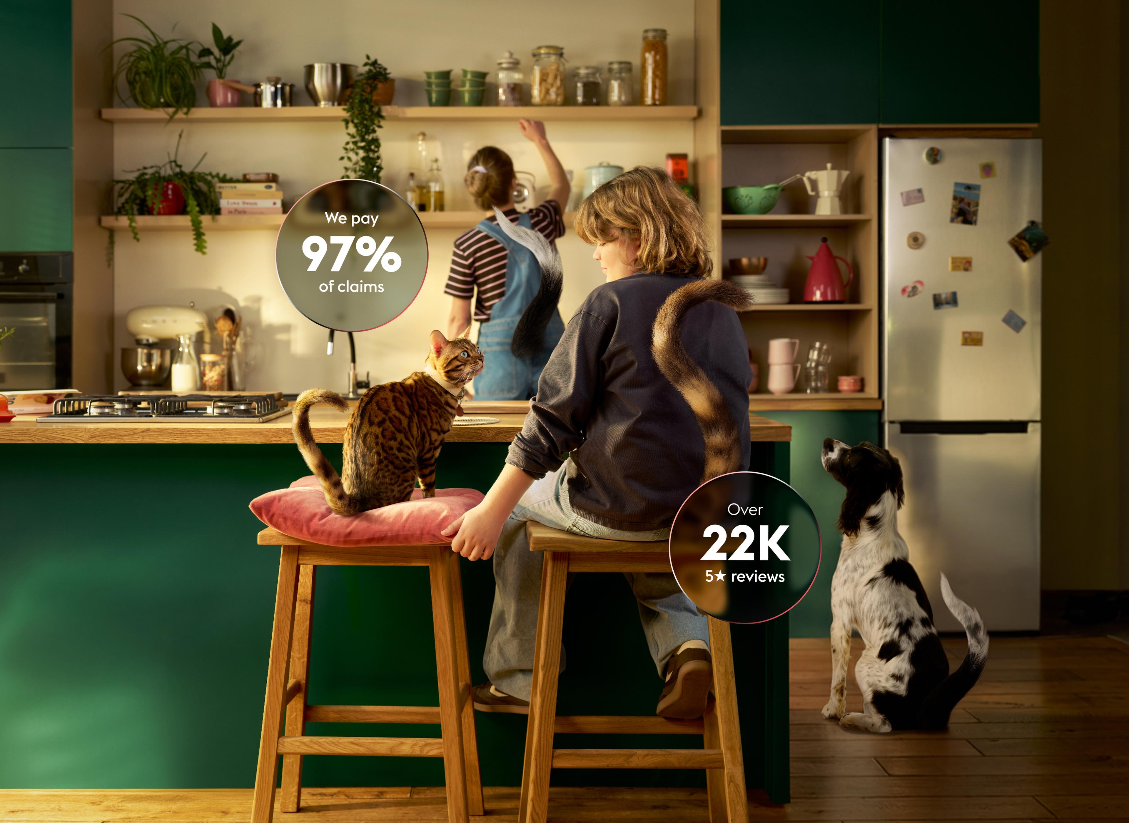 A person reaches for a shelf in a kitchen as a child with a cat and dog sit nearby. Text reads "We pay 97% of claims" and "Over 22K 5★ reviews."