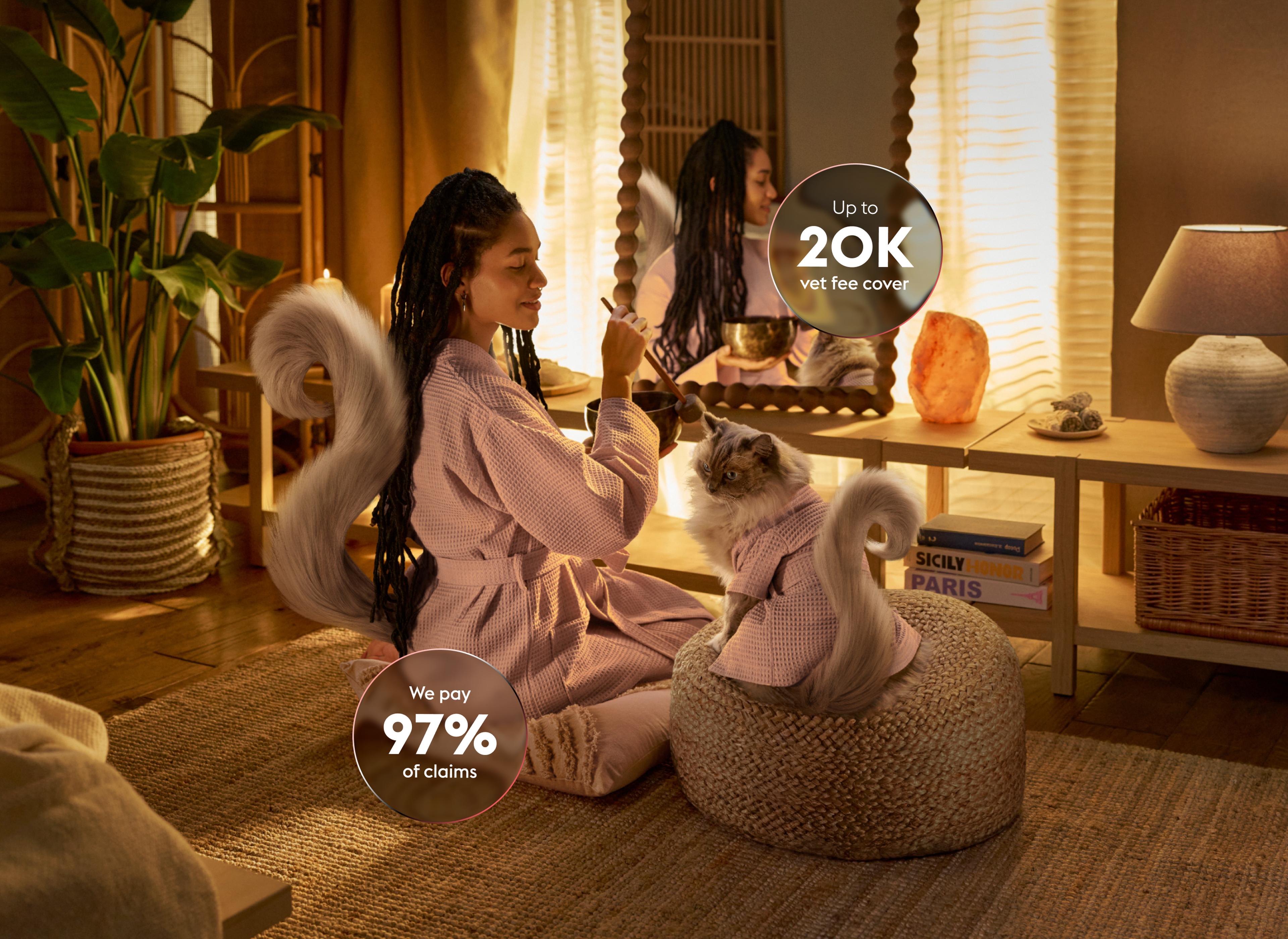 cat sitting next to owner