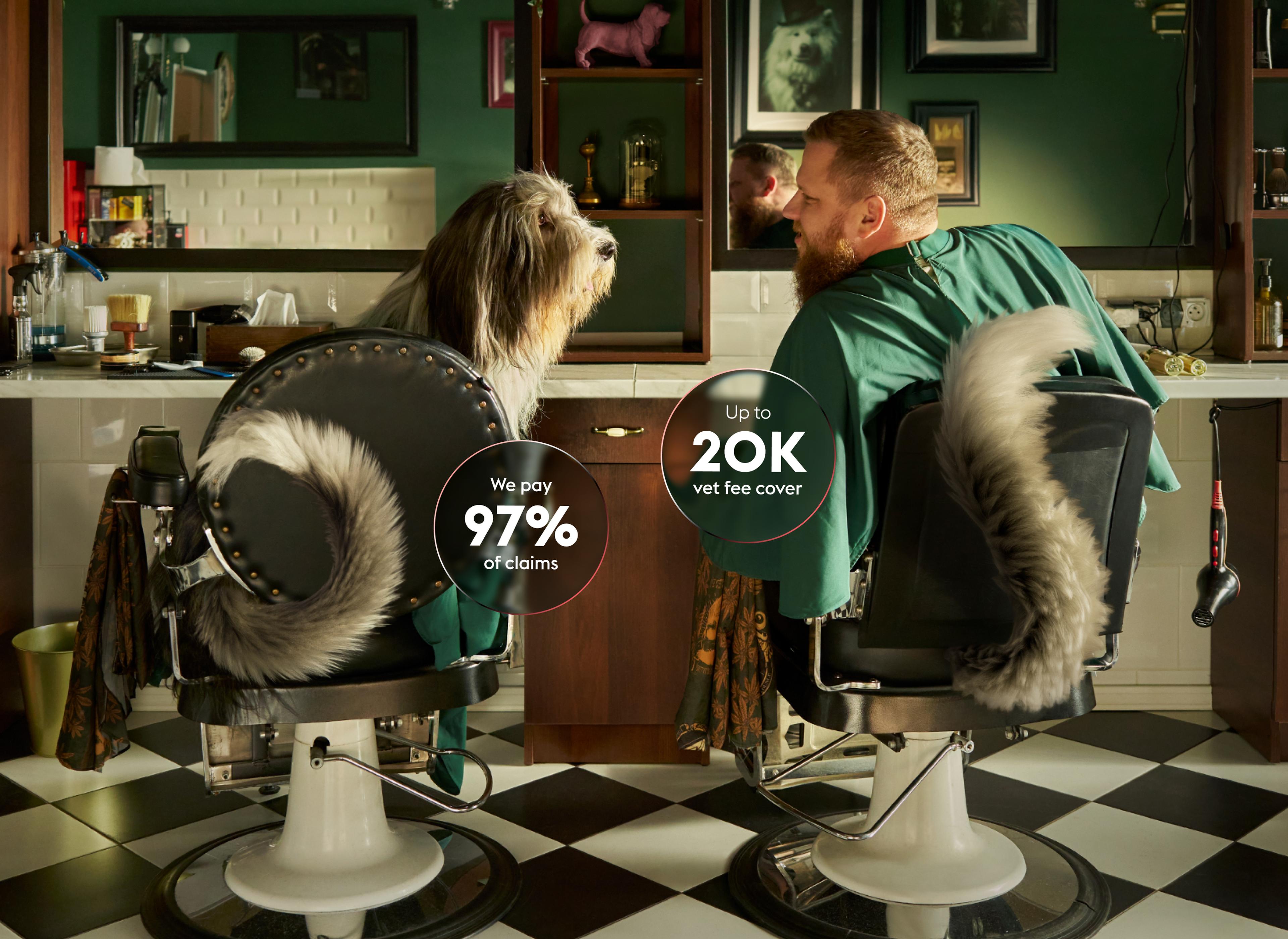 A dog and man sit in barber chairs facing each other in a barbershop, with promotional text about pet insurance displayed on their fur coats.