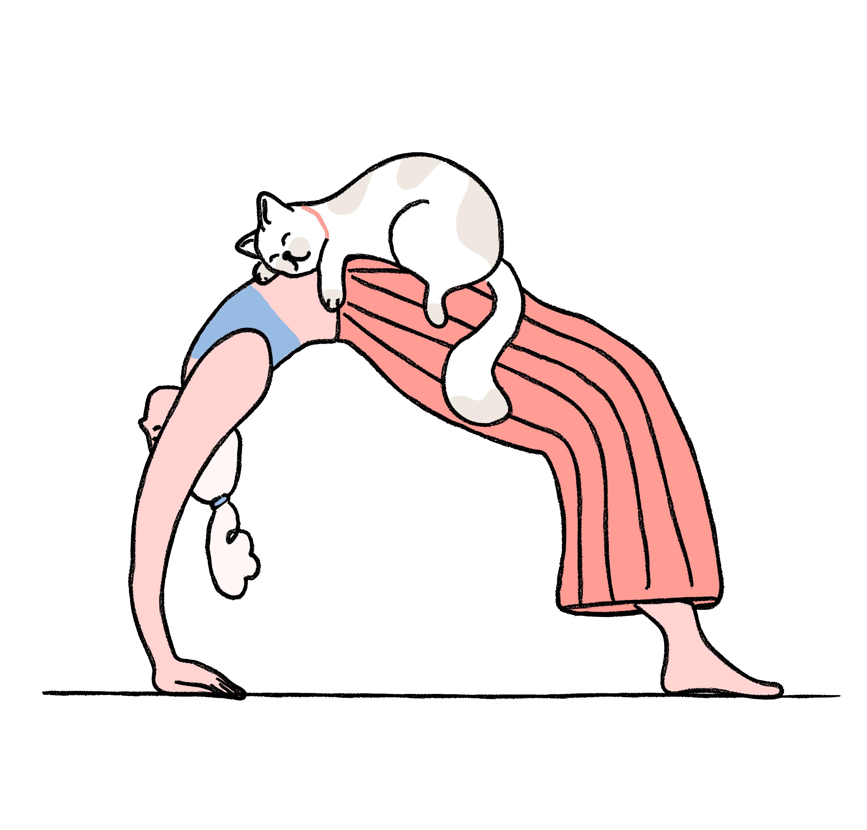 Cat smiling illustration