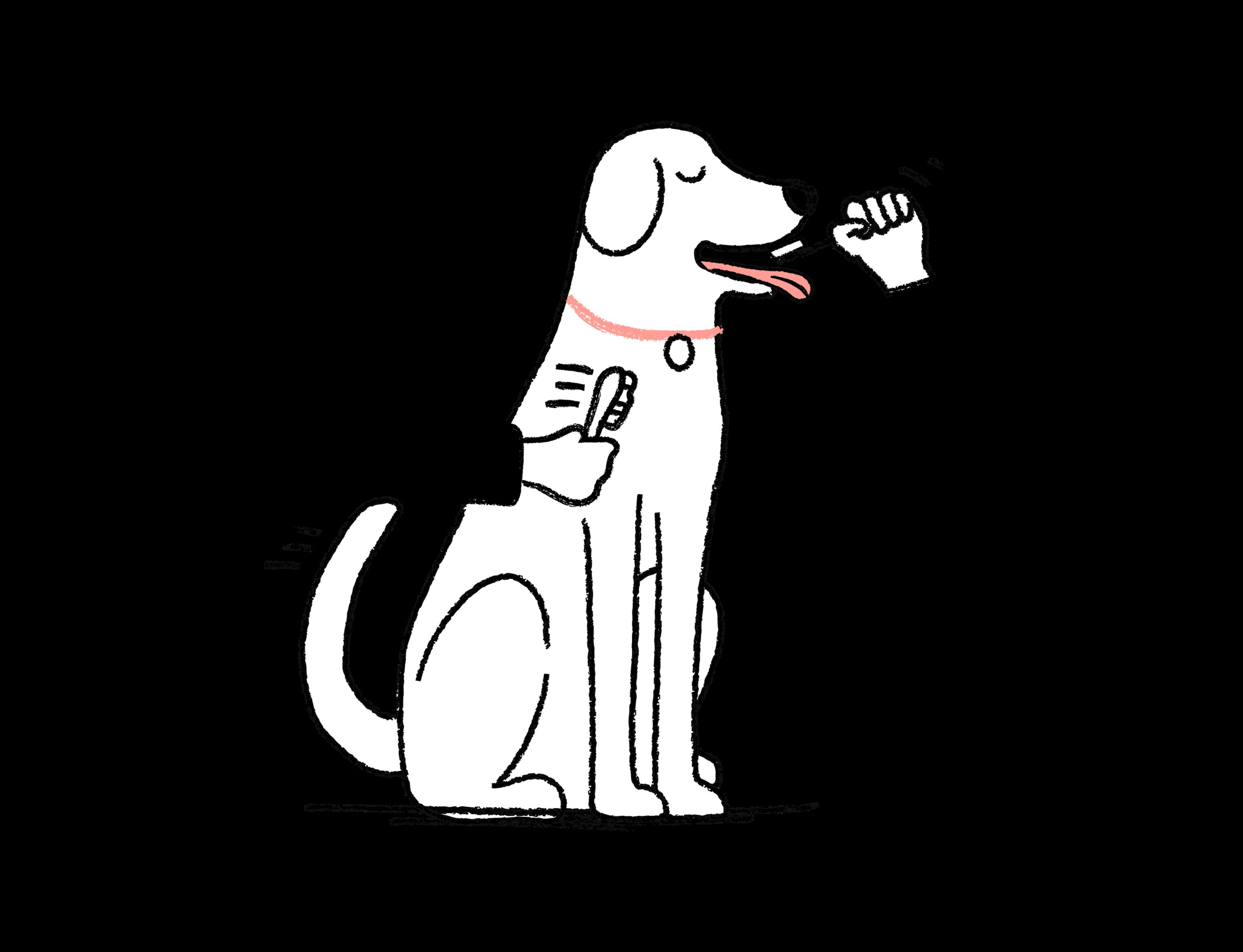 arms reaching around a dog brushing his teeth