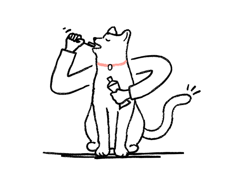 Pet Insurance for Older Cats Cover Your Senior Cat ManyPets