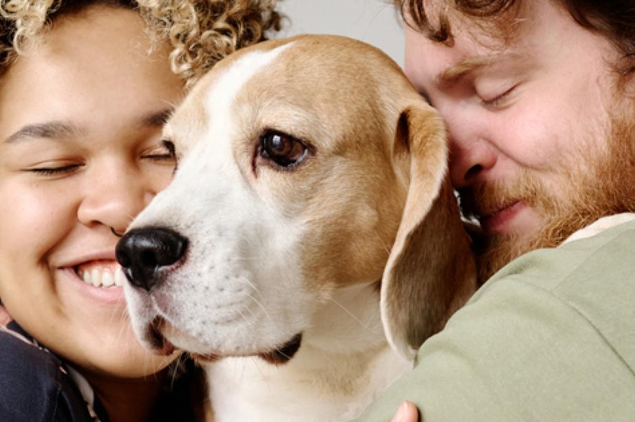 A young mixed race couple cuddling their beagle dog, the woman has curly hair and is smiling at her man with brown short curly hair on a neutral background