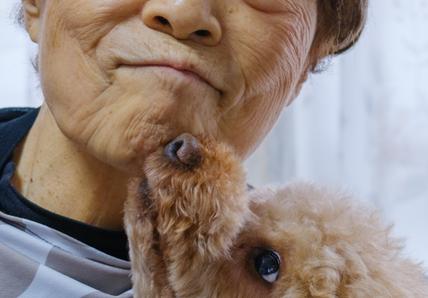 Worst dog breeds for seniors