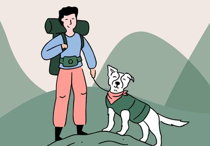 Best dog breeds for hiking